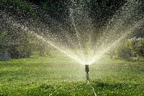 Irrigation Design & Implementation